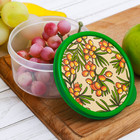 Ланч-бокс "Облепиха", 300 мл - Фото 3