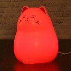 Светильник детский LED сенсор 2 режима "Котик" usb-провод в комплекте МИКС 16х10х10 см - Фото 3