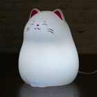 Светильник детский LED сенсор 2 режима "Котик" usb-провод в комплекте МИКС 16х10х10 см - Фото 7