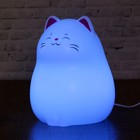 Светильник детский LED сенсор 2 режима "Котик" usb-провод в комплекте МИКС 16х10х10 см - Фото 8