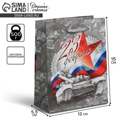 Пакет подарочный ламинированный, упаковка, «С Праздником 23 февраля!», S 12 х 15 х 5.5 см