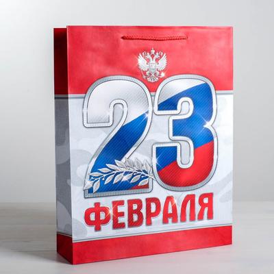 Пакет подарочный ламинированный вертикальный, упаковка, «23 февраля!», S 12 х 15 х 5,5 см