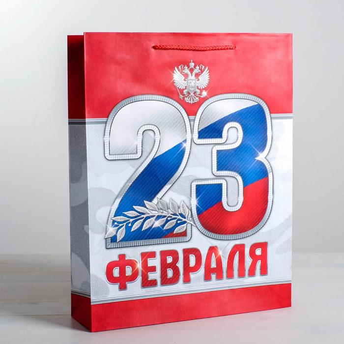 Пакет подарочный ламинированный вертикальный, упаковка, «23 февраля!», S 12 х 15 х 5,5 см - Фото 1