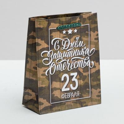 Пакет подарочный ламинированный вертикальный, упаковка, «С Днём Защитника Отечества, 23 февраля», S 12 х 15 х 5,5 см