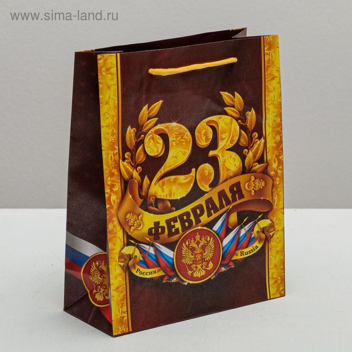 Пакет ламинированный вертикальный «С 23 февраля!», MS 18 × 23 × 8 см - Фото 1