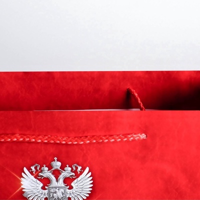 Пакет подарочный ламинированный, упаковка, «23 февраля!», MS 18×23×10 см