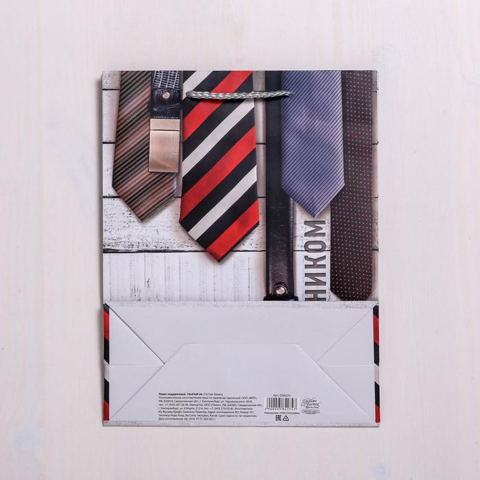 Пакет подарочный ламинированный вертикальный, упаковка, «С Праздником», 18 х 23 х 8 см - фото 1908352970