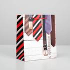 Пакет подарочный ламинированный вертикальный, упаковка, «С Праздником», ML 23 х 27 х 8 см - Фото 2