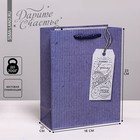 Пакет подарочный ламинированный вертикальный, упаковка, «Лучшему тебе», MS 18 х 23 х 8 см - Фото 1