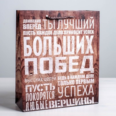 Пакет подарочный ламинированный, упаковка, «Больших побед», ML 23×27×8 см