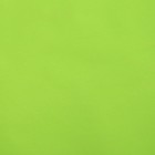 Калька для цветов "Зелёное яблоко", 0,5 х 10 м - Фото 2