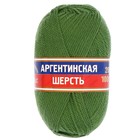 Пряжа "Аргентинская шерсть" 100% импортная шерсть 200м/100гр (114 киви) - Фото 2
