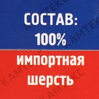 Пряжа "Аргентинская шерсть" 100% импортная шерсть 200м/100гр (114 киви) - Фото 3