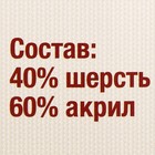 Пряжа "Бюджетная" 40% шерсть, 60% акрил 95м/100гр (088 брусника) - Фото 3