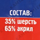 Пряжа "Нимфа" 35% импортная п/т шерсть, 65% акрил 300м/100гр (019 василек) - Фото 3