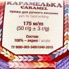 Пряжа "Карамелька" 100% акрил 175м/50гр (276 колокольчик) - Фото 3
