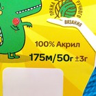 Пряжа "Карамелька" 100% акрил 175м/50гр (024 бирюза) - Фото 4