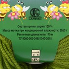 Пряжа "Карамелька" 100% акрил 175м/50гр 130 липа) - Фото 3