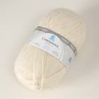Пряжа "Северянка" 30% шерсть, 5% вербл. шерсть, 65% акрил 150м/100гр (205 белый) - фото 20781968