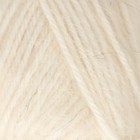 Пряжа "Северянка" 30% шерсть, 5% вербл. шерсть, 65% акрил 150м/100гр (205 белый) - фото 8650961