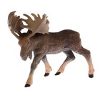 Фигурка животного "Дикий зверь", МИКС - Фото 1