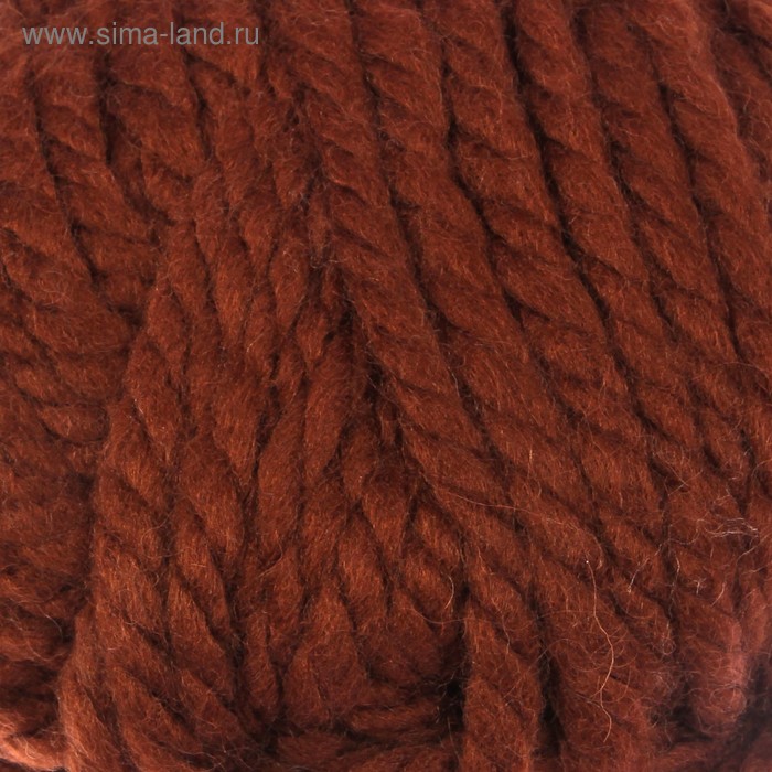 Пряжа "Alpine Maxi" 40% шерсть, 60% акрил 105м/250гр (663 коричневый) - Фото 1