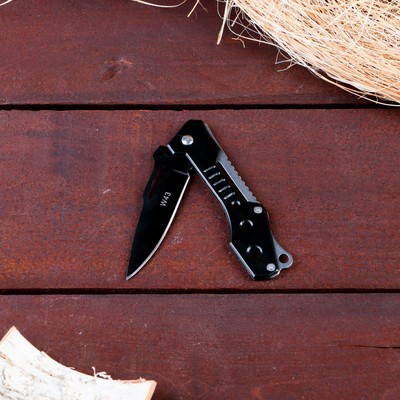 Нож складной «Сталь», 17 см, клинок 75 мм/1.2 мм