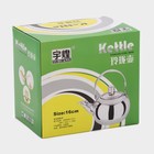 Чайник заварочный «Арес», 1.2 л, металлическое сито, нержавеющая сталь, хромированный - Фото 8