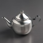 Чайник из нержавеющей стали «Альваро», 500 мл, металлическое сито, фиксированная ручка - Фото 1