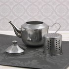 Заварочный чайник «Альваро», 500 мл, металлическое сито, нержавеющая сталь, фиксированная ручка - Фото 4