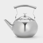 Чайник из нержавеющей стали «Жуан», 1,15 л, металлическое сито, цвет хромированный - фото 5988965
