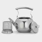 Чайник из нержавеющей стали «Жуан», 1,15 л, металлическое сито, цвет хромированный - фото 4585511