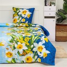 Постельное бельё Экономь и Я 1,5 сп Ирисы на синем 148х198 ± 5 см, 150х202 ± 5 см, 70х70 ± 5 см - 1 ш, хл 100%, бязь 100г/м2 - Фото 1
