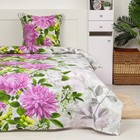 Постельное бельё Экономь и Я 1,5 сп Астры сиреневые 148х198 ± 5 см, 150х202 ± 5 см, 70х70 ± 5 см - 1шт., хл 100%, бязь100г/м2 - Фото 1