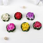 Декор «Кувшинка плавающая», d=10 см, МИКС - Фото 3