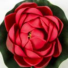 Декор «Кувшинка плавающая», d=10 см, МИКС - Фото 2