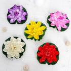 Декор «Кувшинка плавающая», d=17 см, МИКС - Фото 3