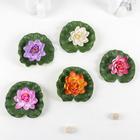 Декор «Кувшинка плавающая», d=17 см, МИКС - Фото 3