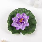 Декор «Кувшинка плавающая», d=17 см, МИКС - Фото 1