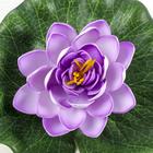 Декор «Кувшинка плавающая», d=17 см, МИКС - Фото 2