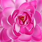 Декор кувшинка плавающая d-20 см - Фото 2