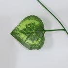 Лиана искусственная «Лист с прожилками», 2.4 м - Фото 2