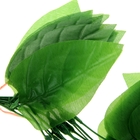 лиана лист яблони 2,2 м цена за 1шт(фасовка 12шт) - Фото 2