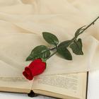Цветы искусственные «Роза простая закрытая» d-5 см 50 см - Фото 1