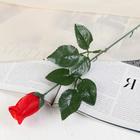 Цветы искусственные «Роза простая» 50 см, красный - фото 317814795