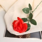 Цветы искусственные "Роза простая раскрытая" d-8 см 50 см, красный - фото 290274081