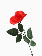 Цветы искусственные «Роза простая раскрытая», d=8 см, h=50 см, красные - Фото 4
