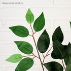 Дерево искусственное «Лист зелёный», h=145 см - Фото 4