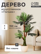 Пальма