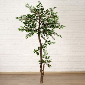 Дерево искусственное "Лист с белым" 160 см